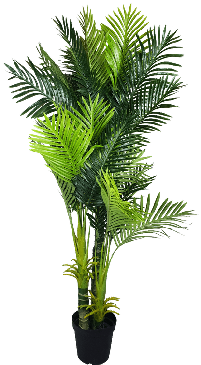 Multi Trunk Hawaii Palm 180cm-Home &amp; Garden &gt; Artificial Plants-PEROZ Accessories