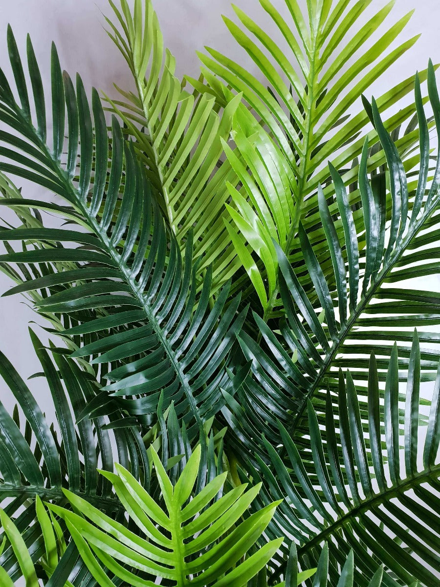 Multi Trunk Hawaii Palm 180cm-Home &amp; Garden &gt; Artificial Plants-PEROZ Accessories