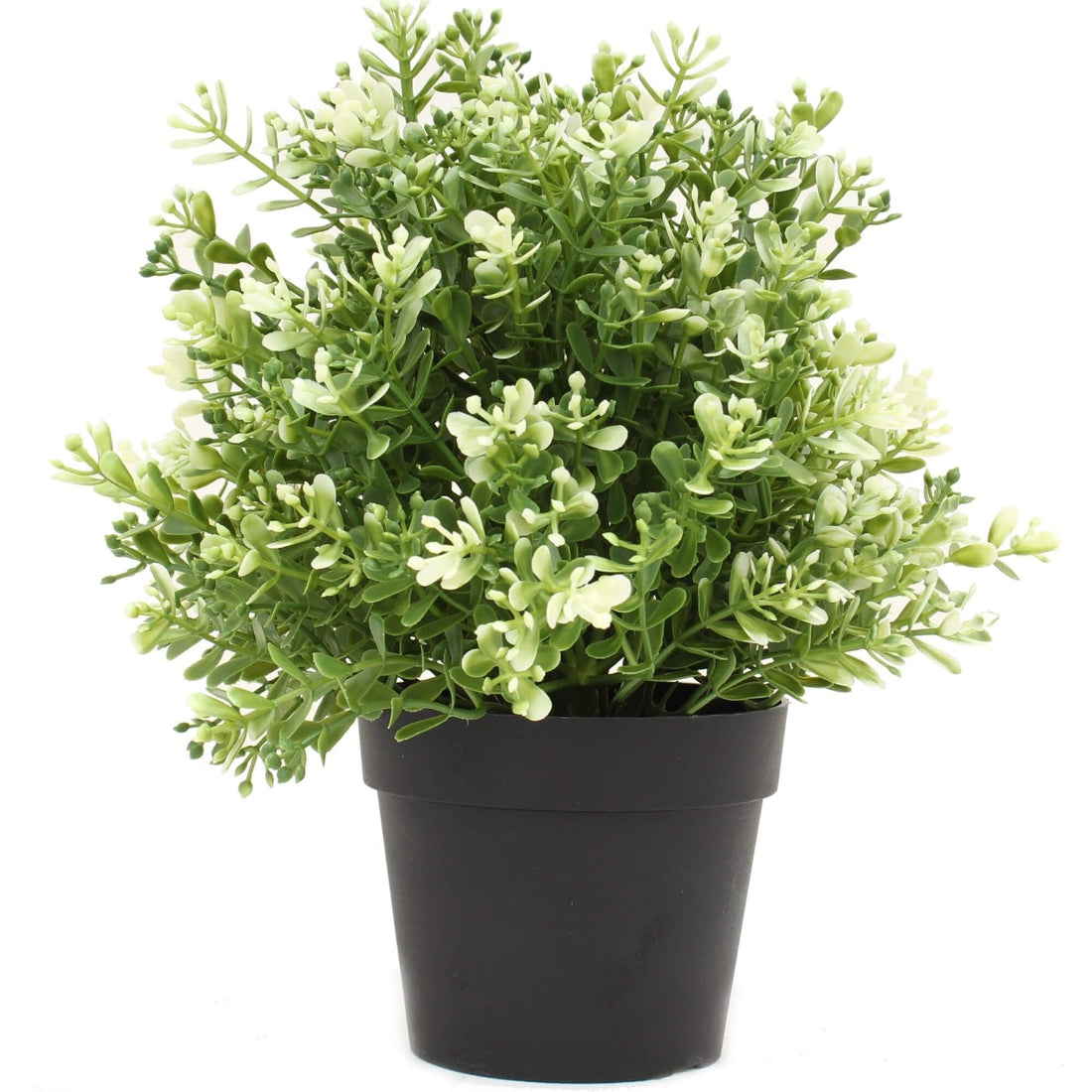 Small Potted Artificial White Jade Plant UV Resistant 20cm-Home &amp; Garden &gt; Artificial Plants-PEROZ Accessories