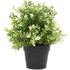 Small Potted Artificial White Jade Plant UV Resistant 20cm-Home & Garden > Artificial Plants-PEROZ Accessories