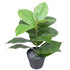 Artificial Potted Rubber Plant 55cm-Home & Garden > Artificial Plants-PEROZ Accessories