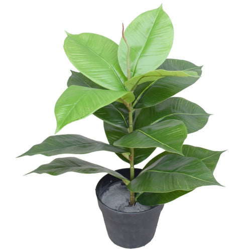 Artificial Potted Rubber Plant 55cm-Home &amp; Garden &gt; Artificial Plants-PEROZ Accessories