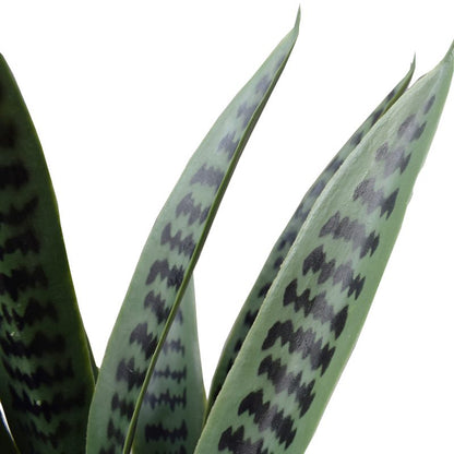 Artificial Snake Plant UV Resistant 60cm-Home &amp; Garden &gt; Artificial Plants-PEROZ Accessories