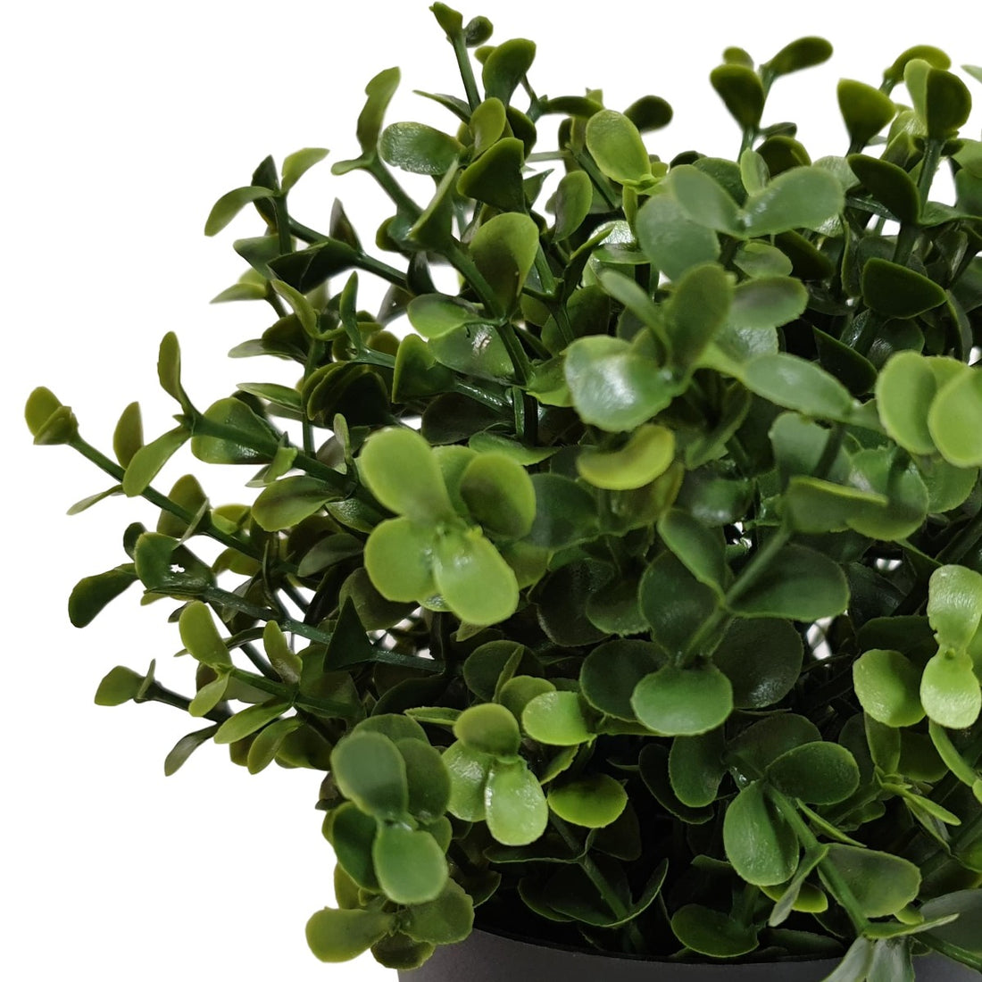 Small Potted Artificial Buxus Plant UV Resistant 20cm-Home &amp; Garden &gt; Artificial Plants-PEROZ Accessories