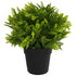 Small Potted Artificial Mimosa Fern UV Resistant 20cm-Home & Garden > Artificial Plants-PEROZ Accessories