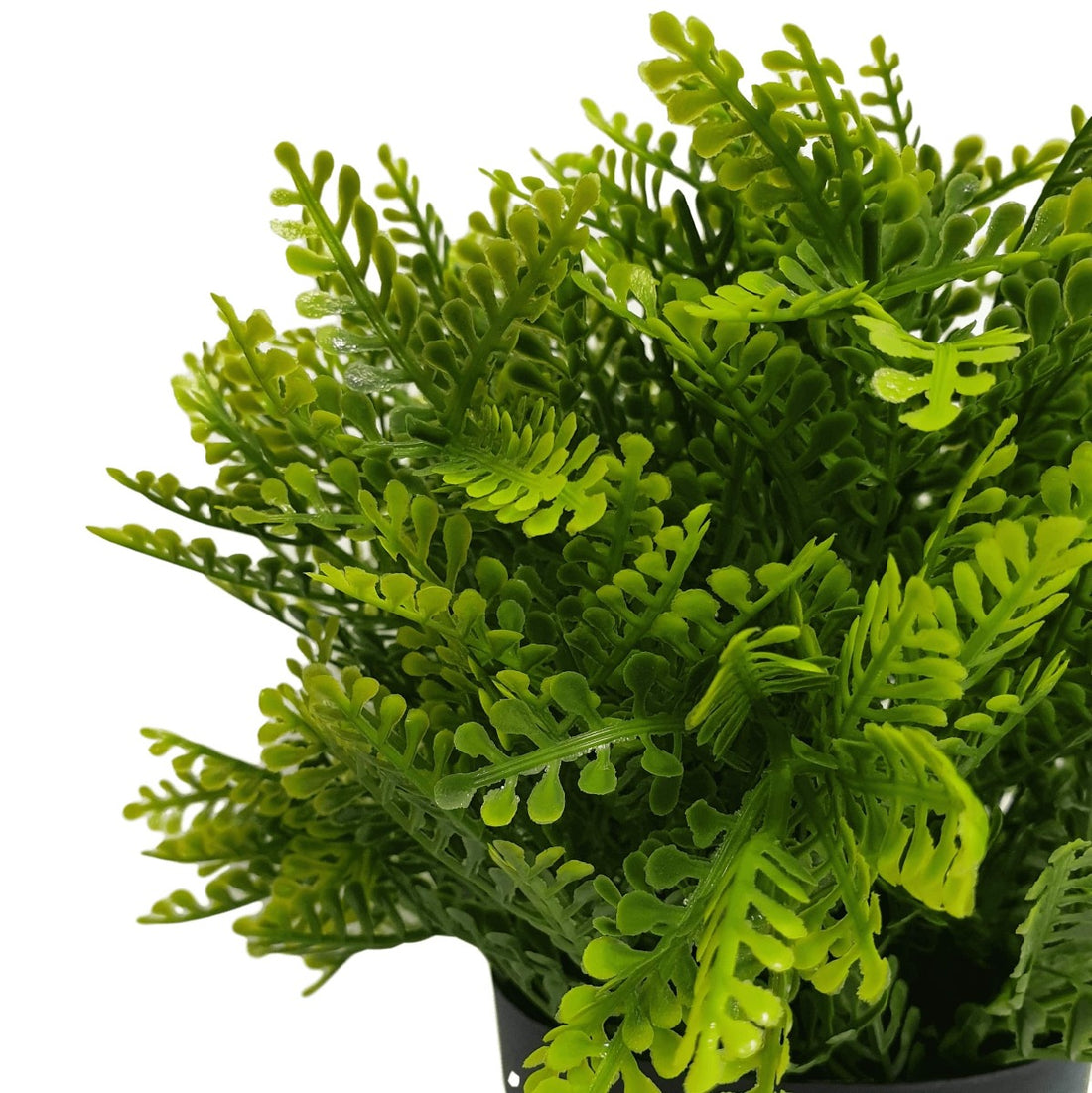 Small Potted Artificial Mimosa Fern UV Resistant 20cm-Home &amp; Garden &gt; Artificial Plants-PEROZ Accessories