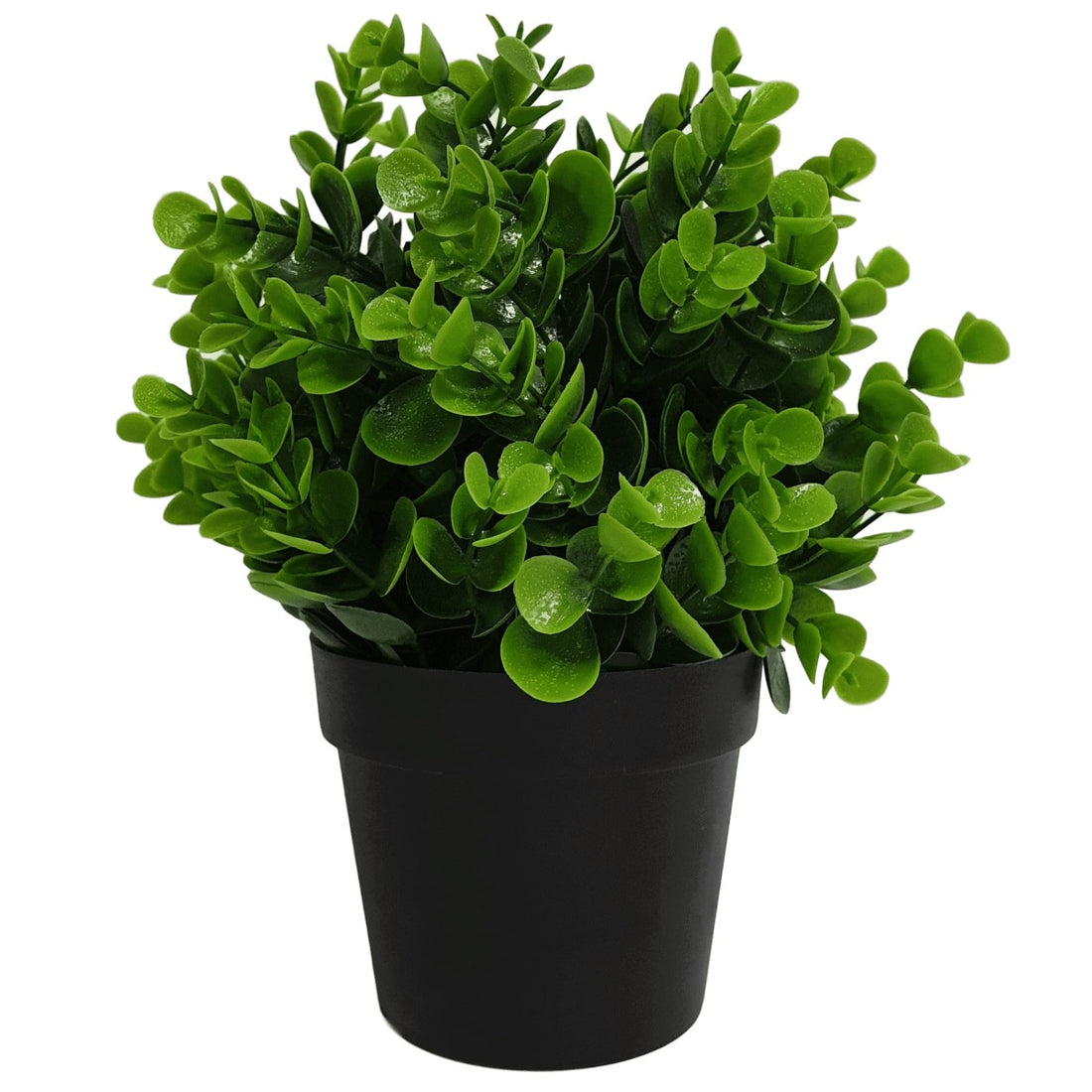 Small Potted Artificial Peperomia Plant UV Resistant 20cm-Home &amp; Garden &gt; Artificial Plants-PEROZ Accessories