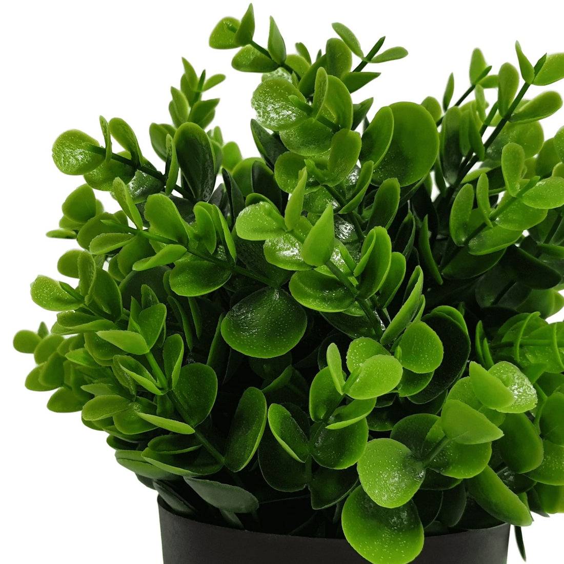 Small Potted Artificial Peperomia Plant UV Resistant 20cm-Home &amp; Garden &gt; Artificial Plants-PEROZ Accessories