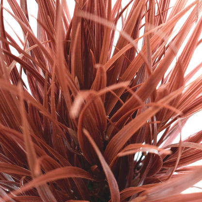 Artificial Ornamental Potted Dense Burgundy Grass 38 cm-Home &amp; Garden &gt; Artificial Plants-PEROZ Accessories
