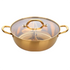Anygleam Stock Pot Gold Twin Divided Stainless Steel Home Restaurant Cooking Tool Compatible Soup Kitchen Utensils-Pots-PEROZ Accessories